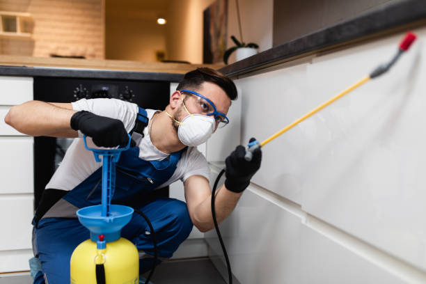 Best Pest Prevention Services  in Medford, WI