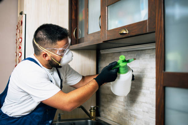 Best Rat Extermination Near Me  in Medford, WI