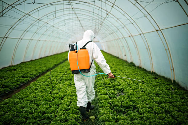 Best Pest Control Near Me  in Medford, WI