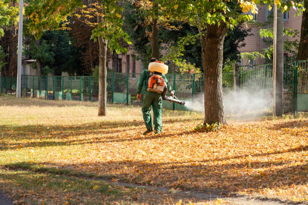 Best Best Pest Control Companies  in Medford, WI
