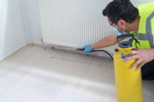 Best Ant Control Services  in Medford, WI