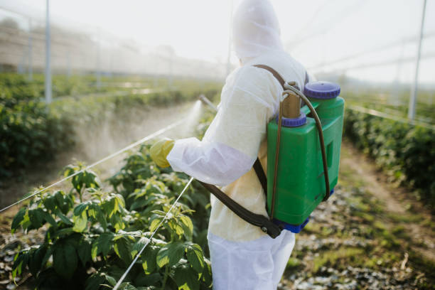 Best Flea Control Services  in Medford, WI
